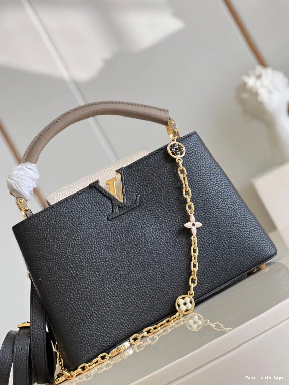 Fake Louis Bags VUITTON CAPUCINES MM LOUIS 0818